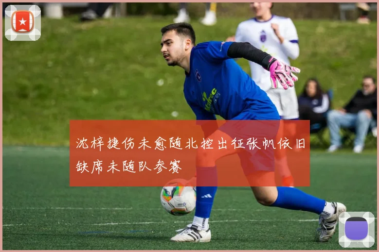 沈梓捷伤未愈随北控出征张帆依旧缺席未随队参赛